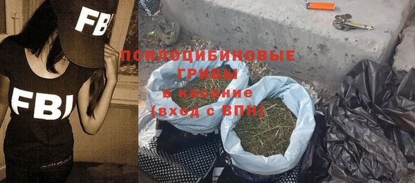 молекула духа Абинск