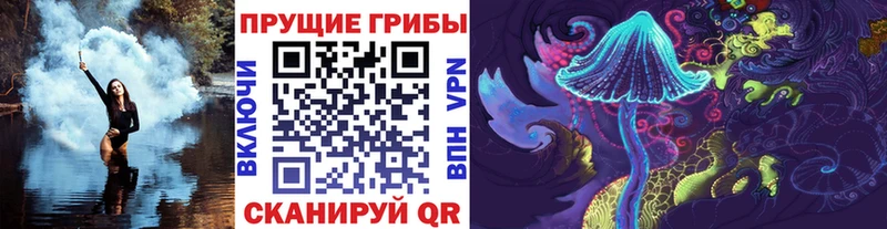 Псилоцибиновые грибы GOLDEN TEACHER  сайты даркнета клад  Усмань  даркнет сайт  ОМГ ОМГ ссылки 